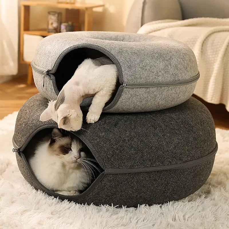 Donut Cat Tunnel