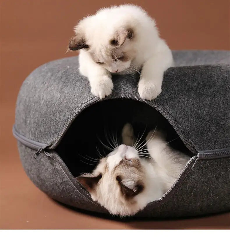 Donut Cat Tunnel